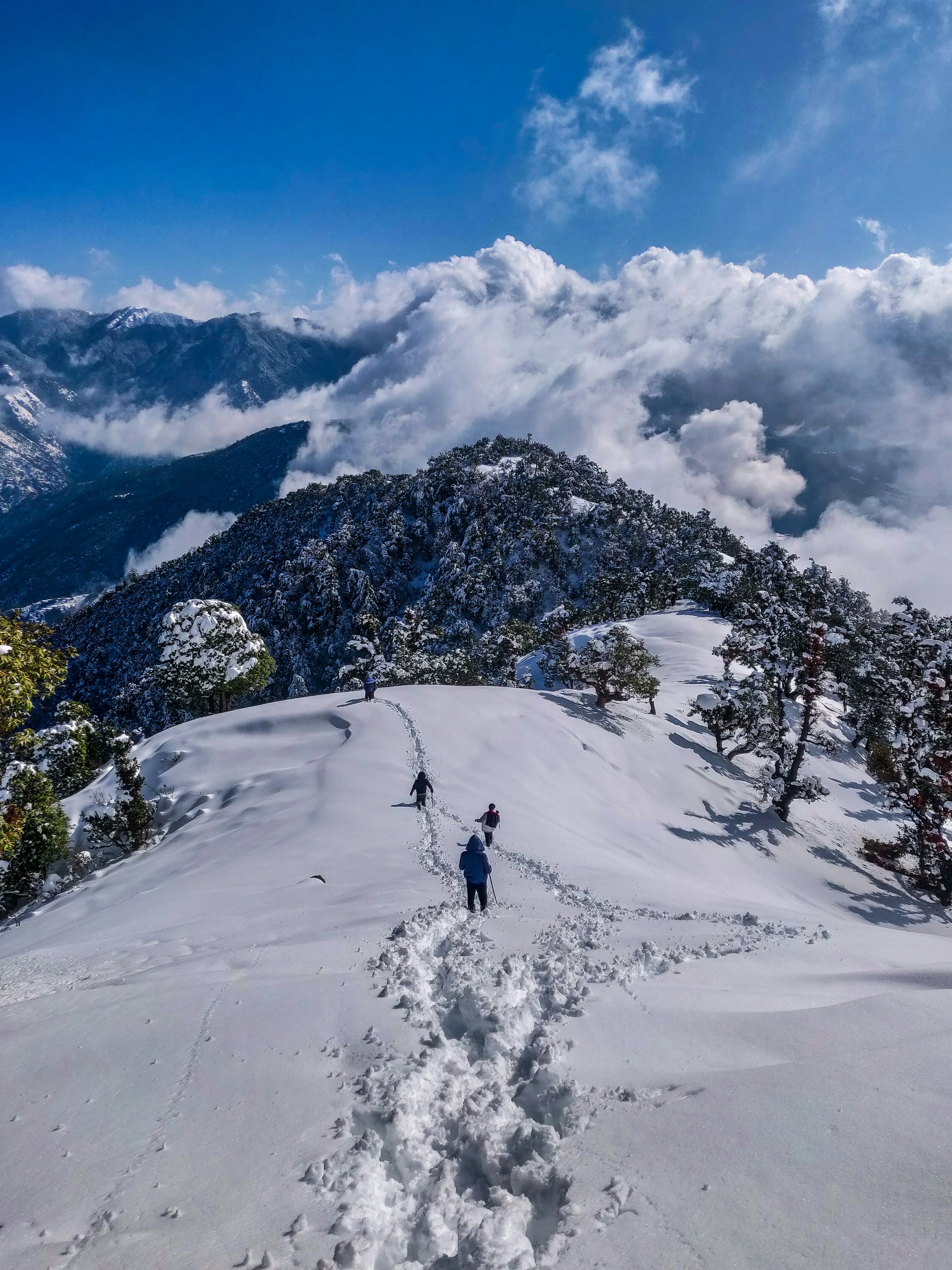 A whitewashed Buddhist monastery perched above a dry, high-altitude valley in Ladakh
